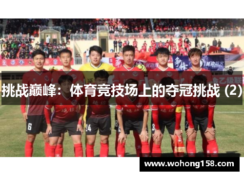 挑战巅峰：体育竞技场上的夺冠挑战 (2)