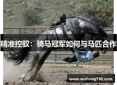 精准控驭：骑马冠军如何与马匹合作