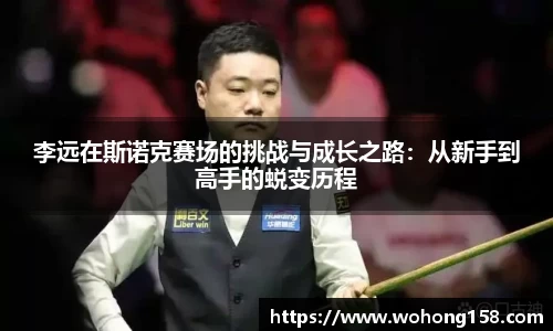 完美体育登录入口
